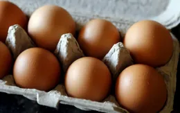 Australia tiếp tục thu hồi trứng gà do lo ngại nhiễm khuẩn salmonella