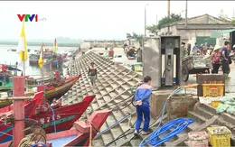 Hậu cần nghề cá yếu, ngư dân bỏ cảng