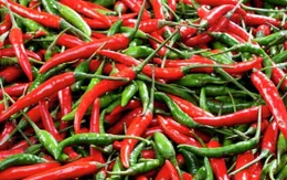 Chất cay trong quả ớt có thể làm chậm quá trình ung thư