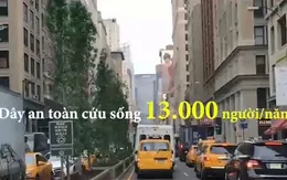 Chiếc dây an toàn – Những con số biết nói