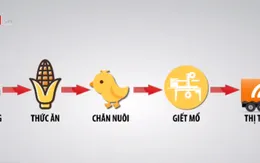 Doanh nghiệp giữ vai trò dẫn dắt trong chuỗi liên kết quy mô lớn