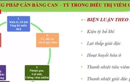 Nâng cao hiệu quả điều trị viêm gan B nhờ đông tây y kết hợp