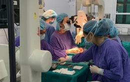Trèo cây, bé 9 tuổi bị... lóc toàn bộ da dương vật