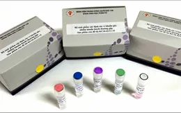 Chế tạo thành công bộ sinh phẩm xác định vi khuẩn gây nhiễm khuẩn huyết và phát hiện gene kháng kháng sinh