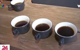 Những ly cà phê đắt nhất thế giới ở California, Mỹ