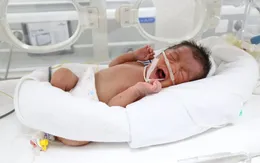 Bé sinh non 1,5kg bị bỏ rơi trên đê ở Phú Thọ