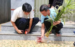 Đắk Lắk: Số ca mắc sốt xuất huyết tăng 4 lần