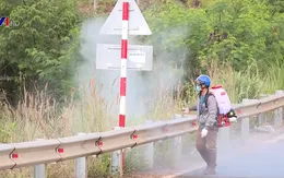 Dịch tả lợn châu Phi xuất hiện ở Đăk Nông