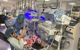 Nhiều lợi ích khi chăm sóc trẻ bằng phương pháp Kangaroo