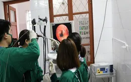 Đỉa rừng dài 5cm sống bám trong khí quản người đàn ông suốt 1 tháng