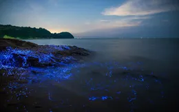 5 địa điểm du lịch đẹp huyền ảo đến khó tin