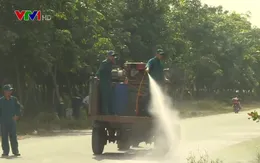 Đồng Nai phát động tiêu độc khử trùng phòng chống dịch tả lợn châu Phi