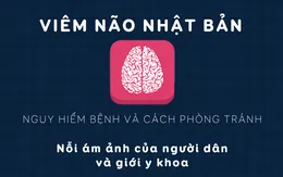 [INFOGRAPHIC] Nguy hiểm bệnh viêm não Nhật Bản và cách phòng tránh