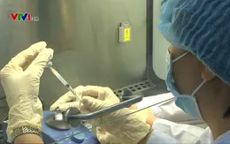 Hôm nay, bắt đầu tiêm chủng vaccine 5 trong 1 mới tại 6 tỉnh