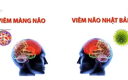 Nhiều trẻ bị viêm màng não, viêm não Nhật Bản biến chứng