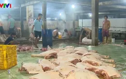 Bạc Liêu lập đoàn tổng kiểm tra các điểm giết mổ gia súc