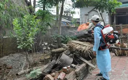Hà Nội: Bệnh sởi giảm mạnh, sốt xuất huyết tăng nhanh