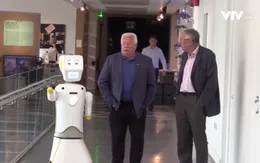 Ireland phát triển robot chống lại sự cô đơn của người già