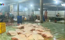 Bạc Liêu tổng kiểm tra các lò giết mổ gia súc