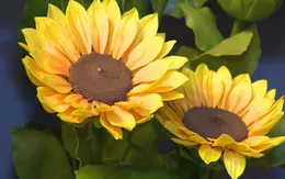 Độc đáo dịch vụ nặn hoa từ đất sét