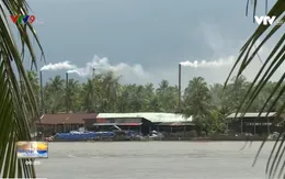 Bến Tre: Khói bụi lò than bủa vây cuộc sống người dân