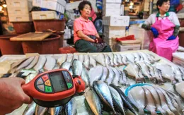 Nhật Bản siết chặt kiểm tra hải sản nhập từ Hàn Quốc do lo sợ ngộ độc thực phẩm