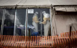 Báo động: Gần 1.000 người tử vong do đại dịch Ebola tại Congo