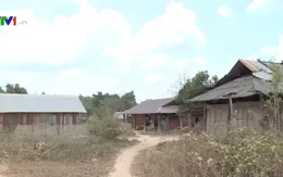 Đắk Lắk phát sinh 5 điểm dân di cư tự do mới