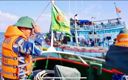 Phát hiện 22 tàu cá vi phạm hành lang an toàn đường ống dẫn khí