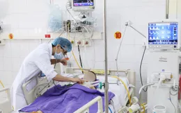 Bị cây gỗ lớn đè vào người, bé trai đứt phế quản nguy kịch