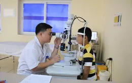 Rách giác mạc, đục thủy tinh thể do gai cành hoa đâm vào