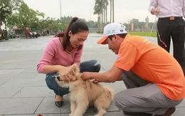 Nghệ An: Tăng cường phòng, chống bệnh dại trong mùa nắng nóng
