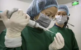 Mỹ thử nghiệm vaccine ngừa bệnh Alzheimer