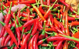 ĐBSCL: Ớt tăng giá trên 40.000 đồng/kg