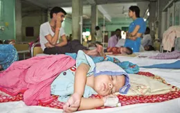 Nhiều người tử vong do viêm não Nhật Bản tại Ấn Độ