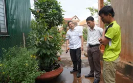 Đắk Lắk: Còn nhiều khó khăn trong công tác phòng chống sốt xuất huyết