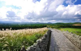 Khám phá 3 điều tuyệt vời nhất tại Jeju - Hàn Quốc vào mùa hè này