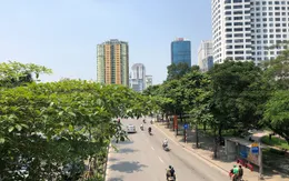 Nắng nóng lại bao trùm miền Bắc và miền Trung, có nơi trên 39 độ C