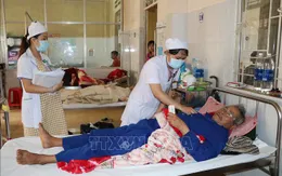 Gia Lai: Số bệnh nhân mắc sốt xuất huyết tăng gấp 3 lần năm ngoái