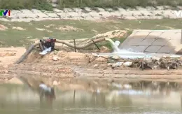 Thanh Hóa nỗ lực chống hạn