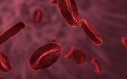 Phát hiện mới trong quá trình điều trị ung thư máu
