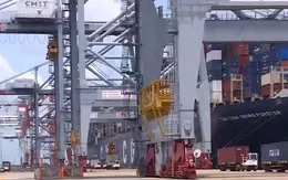 Thực hư chuyện cụm cảng Cái Mép - Thị Vải chỉ đạt 50% công suất