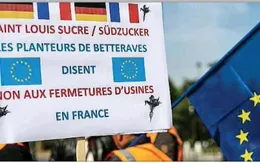 Thị trường đường thế giới có thể sẽ khởi sắc vào cuối năm 2019