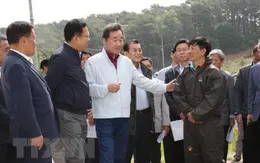 Hàn Quốc nỗ lực ngăn chặn dịch tả lợn châu Phi