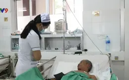 Suýt mất mạng vì ngộ độc cá nóc mít