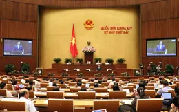 Phó Thủ tướng Phạm Bình Minh trả lời chất vấn Quốc hội