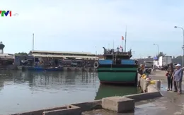 Nhiều tàu dịch vụ nằm bờ - Hậu cần nghề cá gặp khó