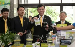 Thái Lan nỗ lực ngăn chặn dịch sốt xuất huyết với dụng cụ bắt muỗi mới