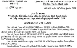 Hà Nội: Thu hồi giấy chứng nhận kinh doanh thuốc của Công ty dược phẩm Megapharco