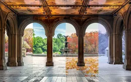 Ngắm nhìn vẻ đẹp 4 mùa của thiên nhiên chỉ qua một bức ảnh